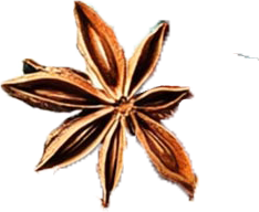 staranis